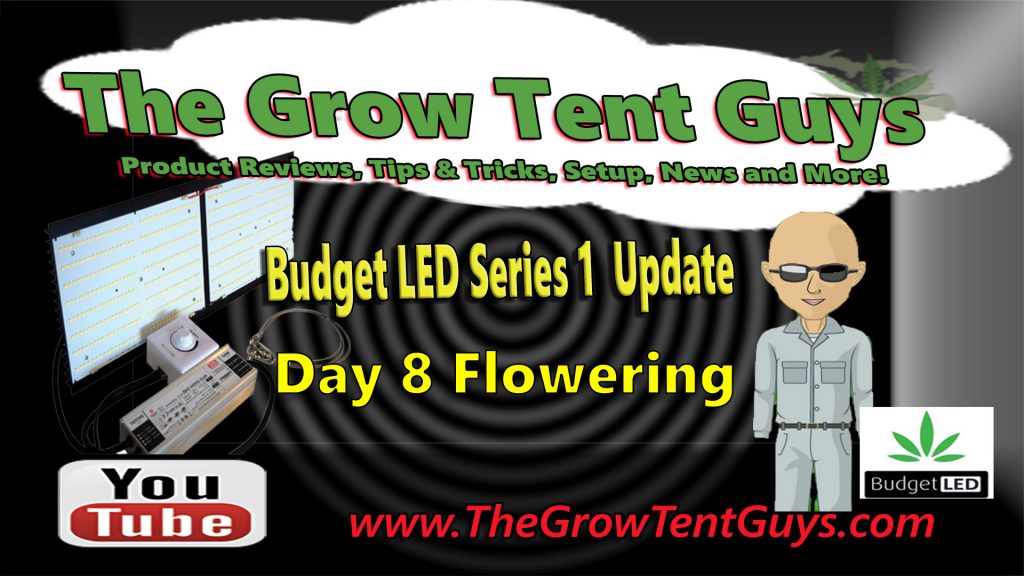 Budget LED Series 1 cover Day 8