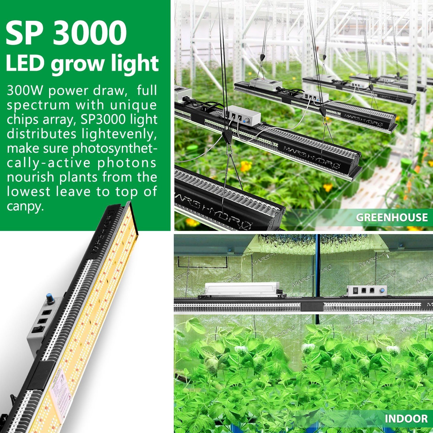 SP 3000 300W LED Light | The Tent Guys