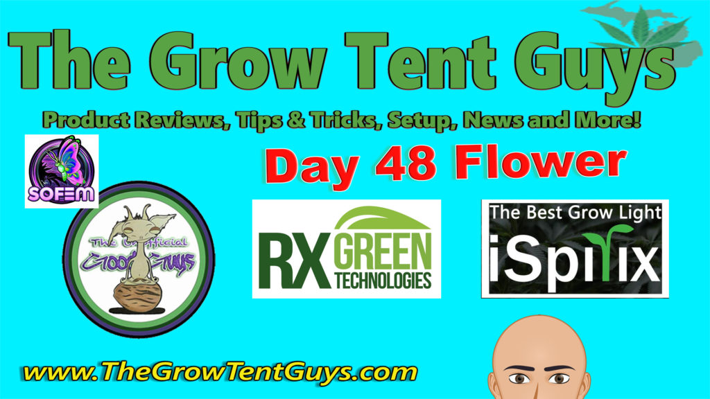 Day 48 Flower Sour Gas RX Green Technologies iSpirix 1100e The Unofficial Goodguys Cover