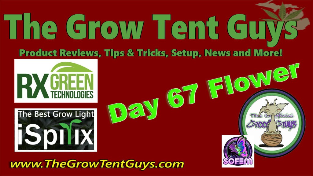 Day 67 Flower Sour Gas RX Green Technologies iSpirix 1100e The Unofficial Goodguys Cover