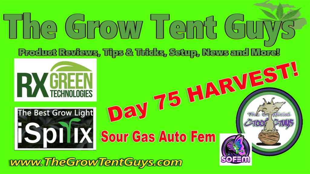 Day 75 Harvest Sour Gas RX Green Technologies iSpirix 1100e The Unofficial Goodguys Cover